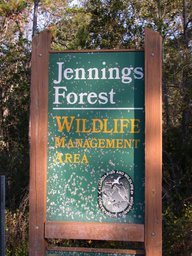 Album: Jennings State Forest
